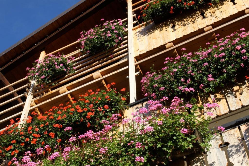 Albergo Centrale Forni di Sopra Zewnętrze zdjęcie